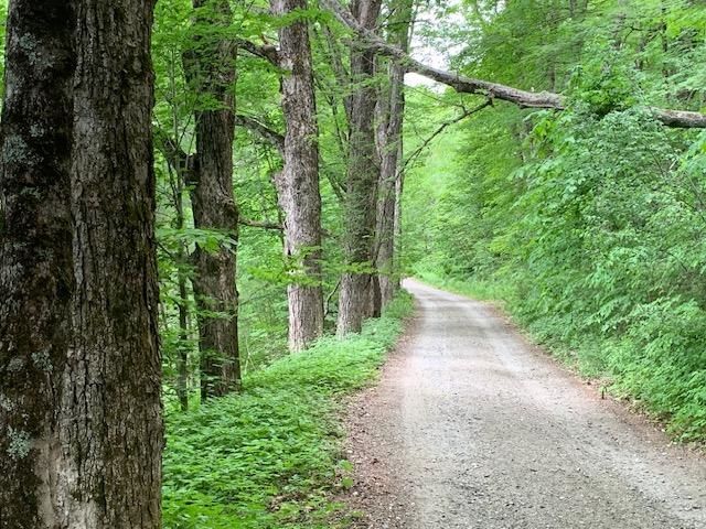 95 Jenne Road, Hartland, VT 05048