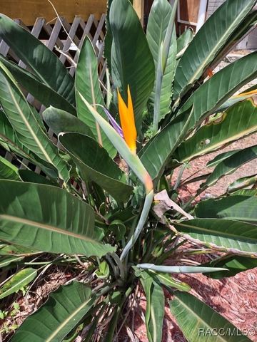 6505 E Amity Street, Inverness, FL 34452