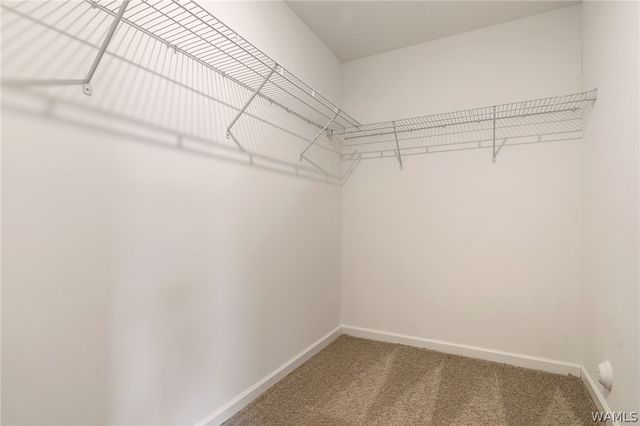 14354 Aster, Tuscaloosa, AL 35405