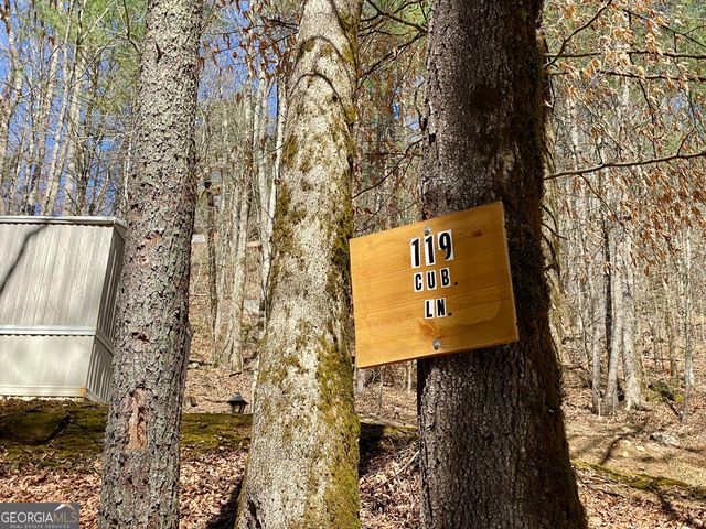 119 Cub Lane, Rabun Gap, GA 30568