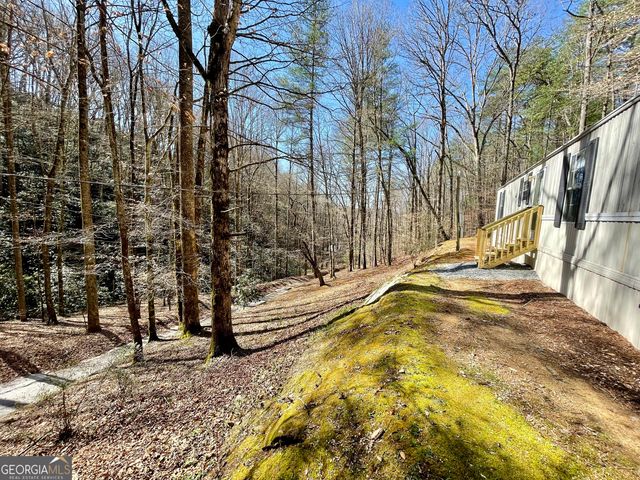 119 Cub Lane, Rabun Gap, GA 30568