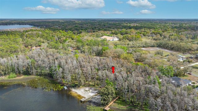 19202 ROGERS ROAD, Odessa, FL 33556