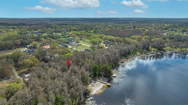 19202 ROGERS ROAD, Odessa, FL 33556