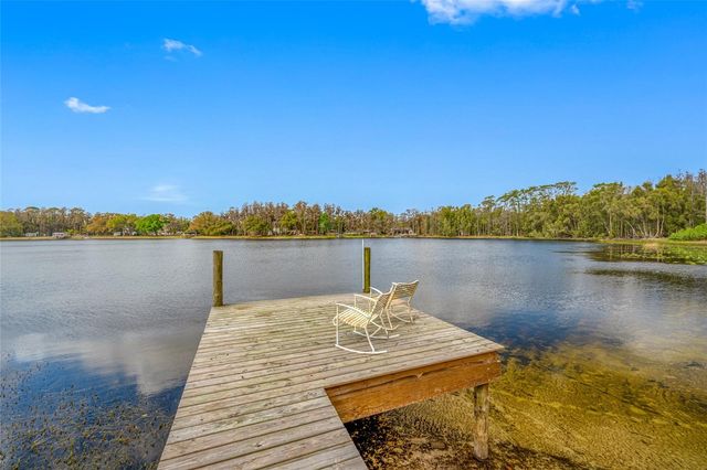 19202 ROGERS ROAD, Odessa, FL 33556