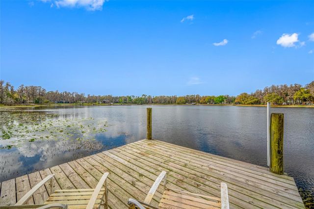 19202 ROGERS ROAD, Odessa, FL 33556