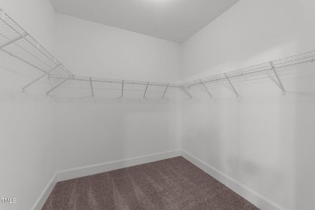 80 Bramble Lane, Clayton, NC 27527