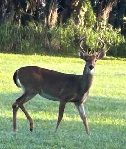 8311 FLAGSTAFF WAY, Sarasota, FL 34241