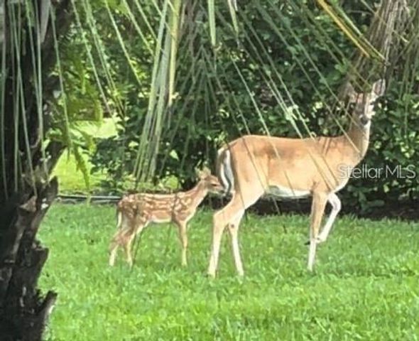 8311 FLAGSTAFF WAY, Sarasota, FL 34241