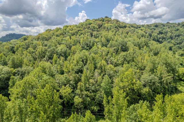 0 Watts Hollow Rd, Buffalo Valley, TN 38548