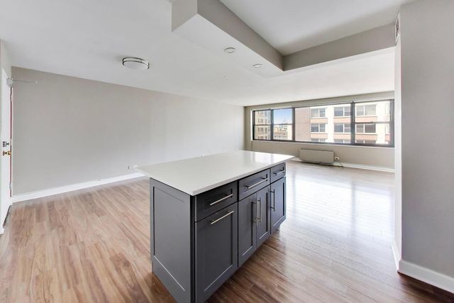 850 N DEWITT Place 20A, Chicago, IL 60611