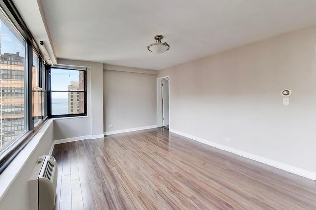850 N DEWITT Place 20A, Chicago, IL 60611