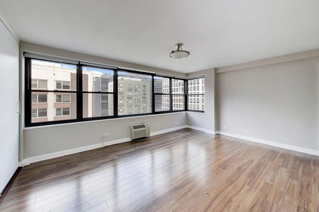850 N DEWITT Place 20A, Chicago, IL 60611
