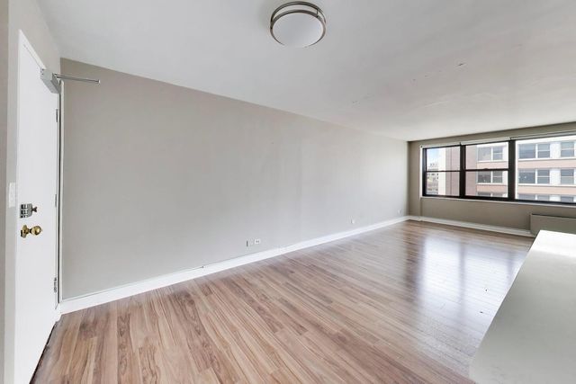 850 N DEWITT Place 20A, Chicago, IL 60611