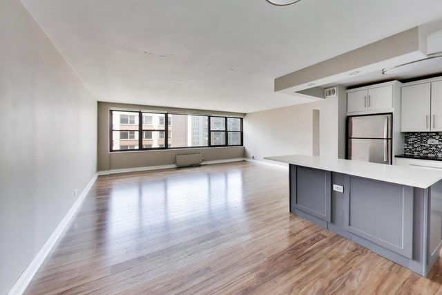 850 N DEWITT Place 20A, Chicago, IL 60611