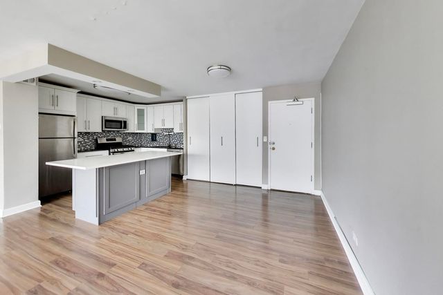 850 N DEWITT Place 20A, Chicago, IL 60611