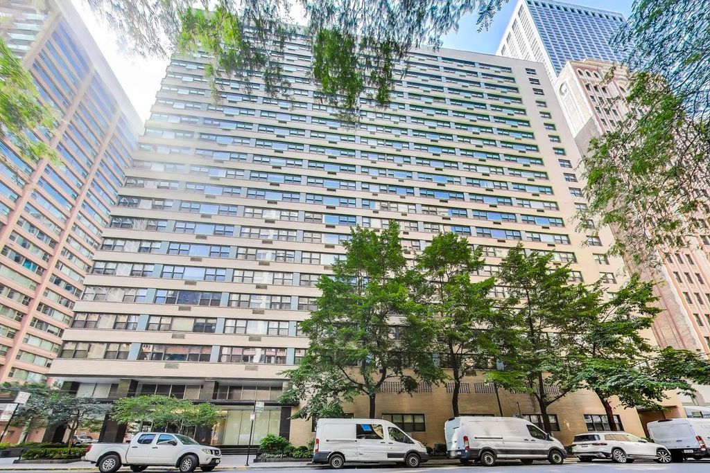 850 N DEWITT Place 20A, Chicago, IL 60611