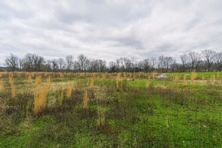 3126 Wixtown Rd, Westmoreland, TN 37186