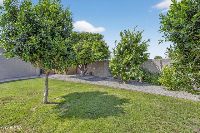 9726 W PINERIDGE Drive, Sun City, AZ 85351