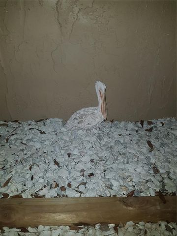 311 58TH AVENUE E 311, Bradenton, FL 34203