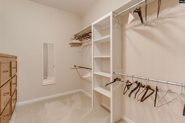 234 Turtle Trail, Leesville, SC 29070