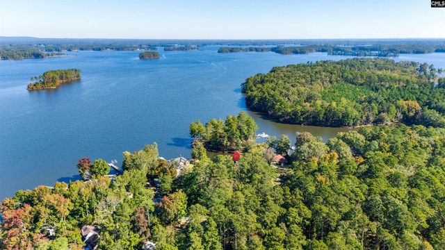 234 Turtle Trail, Leesville, SC 29070