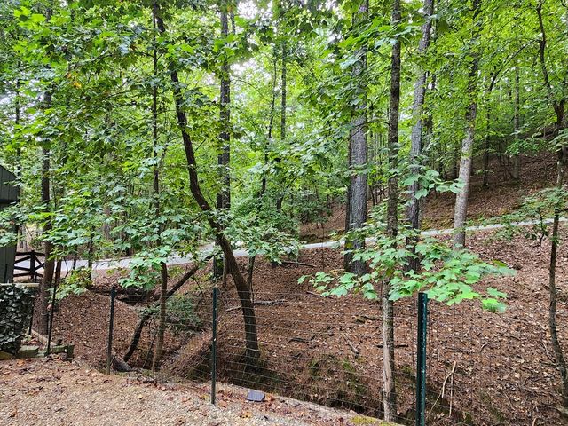 7 31st Street, Ellijay, GA 30540