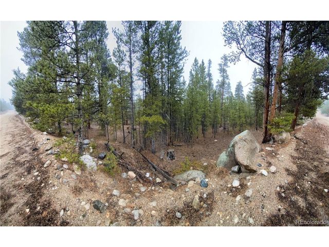 143 Juniper Dr, Twin Lakes, CO 81251