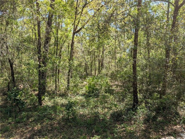 8174 ADRIAN DRIVE, Brooksville, FL 34613