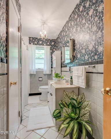 606 Pine Hill Road, Elizabethton, TN 37643