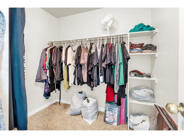 118 Linden Oaks Dr, Ault, CO 80610