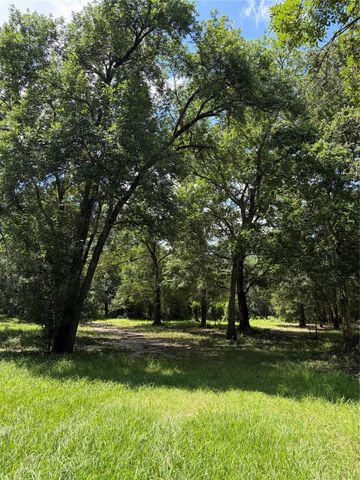 1711 Eagle Nest Acres Drive, Wallis, TX 77485