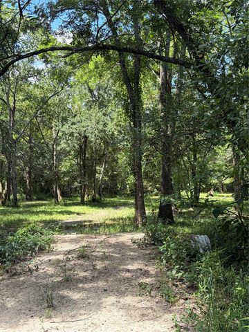 1711 Eagle Nest Acres Drive, Wallis, TX 77485