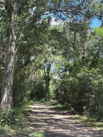 1711 Eagle Nest Acres Drive, Wallis, TX 77485