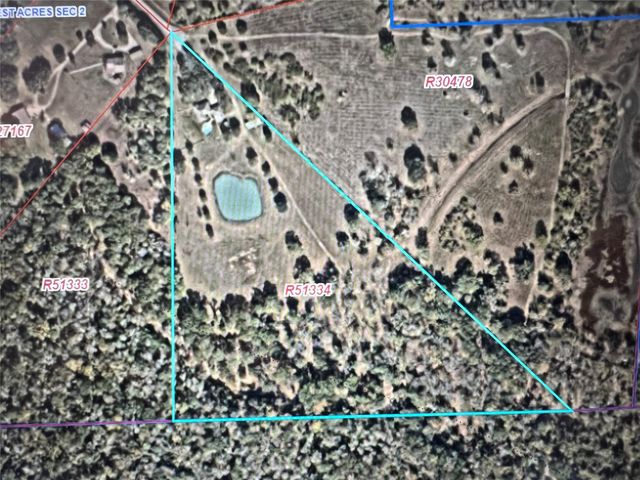 1711 Eagle Nest Acres Drive, Wallis, TX 77485