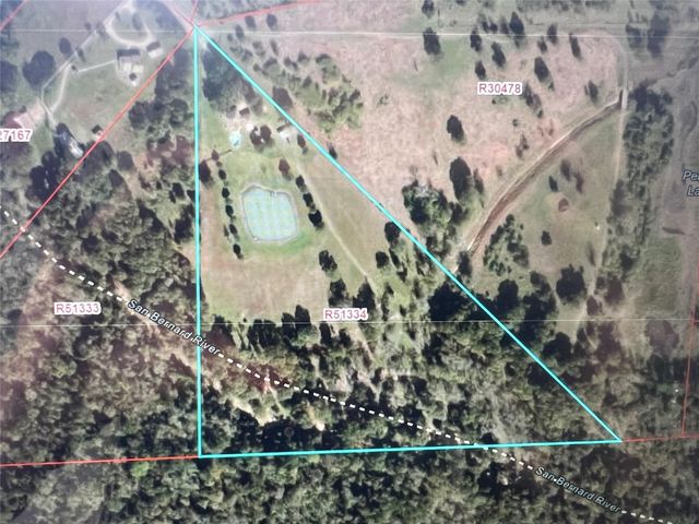 1711 Eagle Nest Acres Drive, Wallis, TX 77485