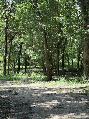 1711 Eagle Nest Acres Drive, Wallis, TX 77485