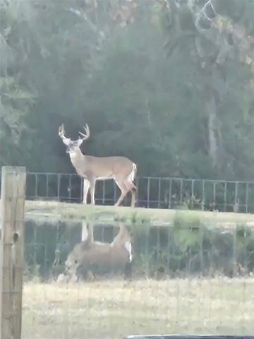1711 Eagle Nest Acres Drive, Wallis, TX 77485