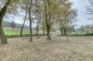 732 Shadowtown Road, Blountville, TN 37617