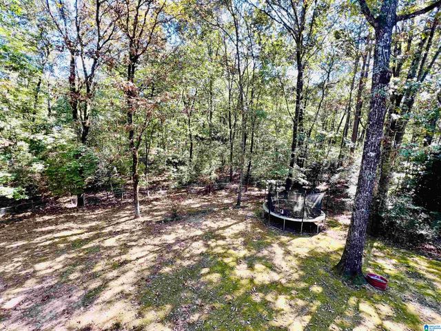 5228 HARVEST RIDGE LANE, Birmingham, AL 35242