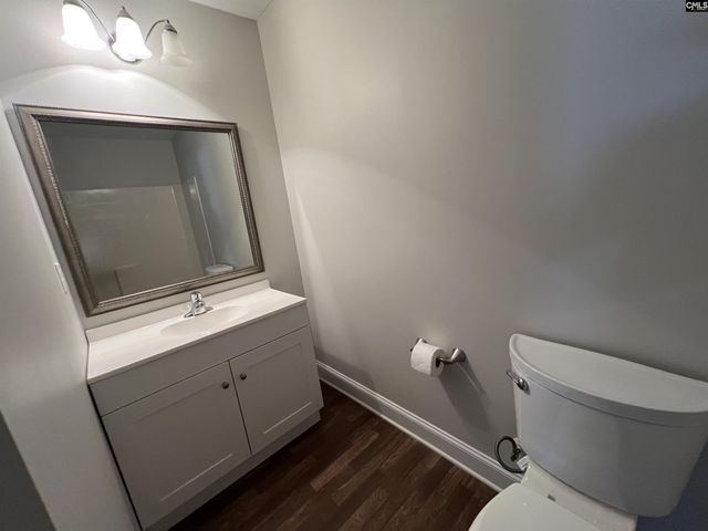 250 Meadow Saffron Drive, Lexington, SC 29073