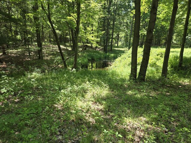 3371 Noble Road, Addison Twp, MI 48370
