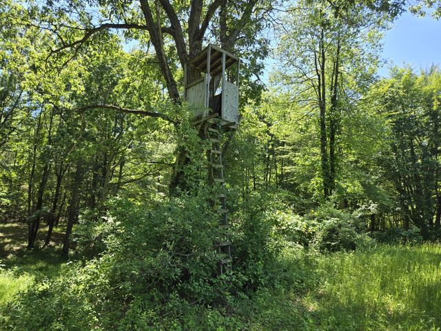 3371 Noble Road, Addison Twp, MI 48370