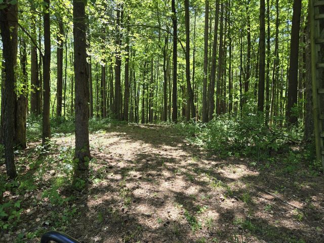3371 Noble Road, Addison Twp, MI 48370
