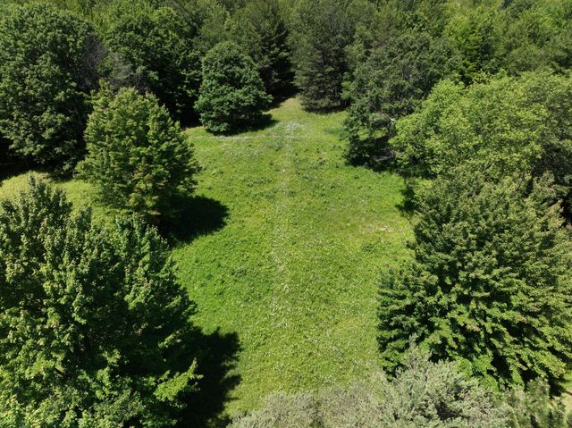 3371 Noble Road, Addison Twp, MI 48370