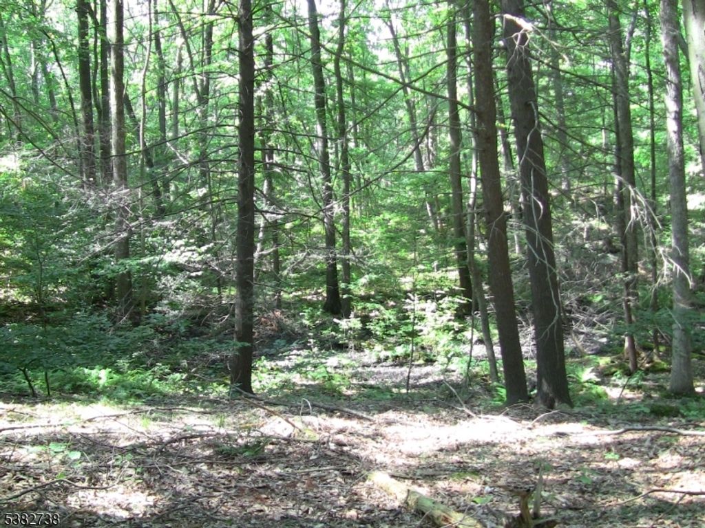 8 Cub Lake Rd, Byram Twp., NJ 07821