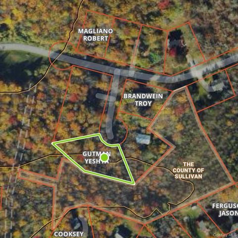 Cathalia Ct Tr 154e, Fallsburg, NY 12733