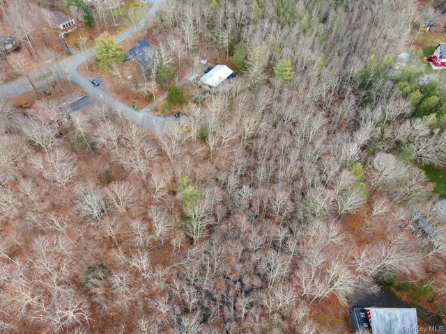 Cathalia Ct Tr 154e, Fallsburg, NY 12733