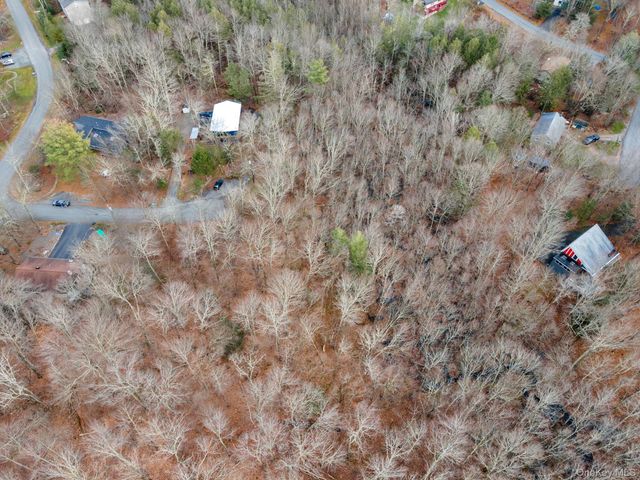 Cathalia Ct Tr 154e, Fallsburg, NY 12733