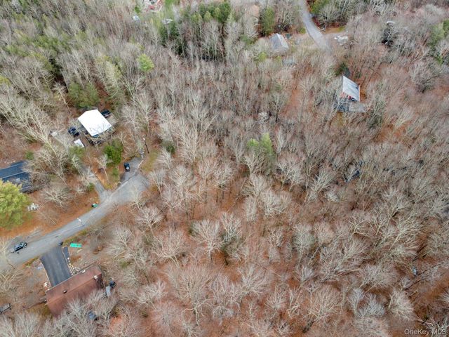Cathalia Ct Tr 154e, Fallsburg, NY 12733