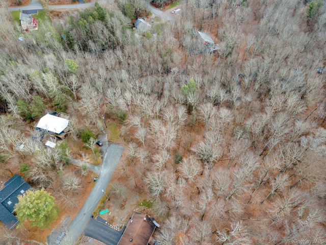 Cathalia Ct Tr 154e, Fallsburg, NY 12733